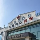 초정약수로 | 초정약수원탕 다녀온 후기…♨️