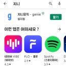 지니가좋아하는케이스