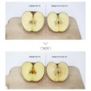 멜라이트(mellight) | [닥터슈라클] 멜라이트 미백 앰플 X 디쎄 스페셜 세트