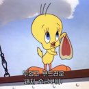 트위티 이미지