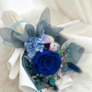 제이;나 플랜트 이미지