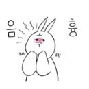 애플펫 동물병원 이미지