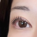 지에스수퍼 청주테크노점 | [청주/트리브] - 청주 테크노 송절동 지속력 좋은 속눈썹 펌 솔직후기 꼼꼼속눈썸펌