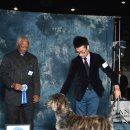 안녕하세요 이미지