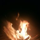 장사해수욕장(솔밭) 이미지