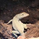 준호농장 이미지