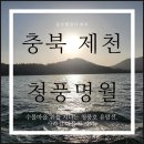 도시공원 행정사사무소 | 충북 제천 청풍명월 유람선에서 만난 수몰마을 이야기, 충주 제천 행정사 사무소 하루