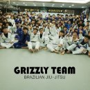 그리즐리2017 네이버블로그