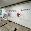 270-4034 | 대한 적십자 응급처치 일반과정 CPR AED 8시간 수료 후기