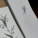 꽃그림 보타니컬아트 이미지