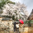 밀양향교 이미지