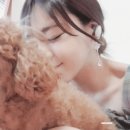 루피독 | 세상 무엇과도 바꿀 수 없는 존재들 | 토리 쵸파 루피 댕댕이 삼 형제