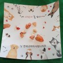 사랑니 4개 다 뽑았다