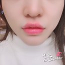 봄눈피우다의원 | 봄눈피우다(봄눈첫잎술)의 리얼후기 제대로 확인하는 방법
