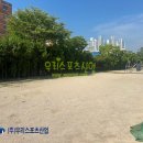 율현초등학교 티스토리