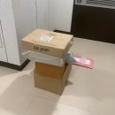 트리에피부과의원 | 2025 겨울의 기록.. 집밥도 많이 해먹고~일도 열심히 하고~집에서 사부작거리고 ~했던 일상