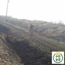 수빈농장 이미지