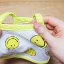 스마일애견 이미지