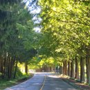 외사촌경로당 이미지