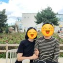 크라운호프전주서곡점 네이버블로그