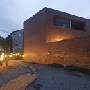 한동리브로콜리 이미지