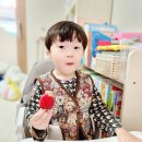 데이프룻