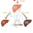 술먹고 감기약 시간 종합감기약 술 시간 항생제 약 먹고 술 괜찮나 이미지