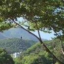 예다움사랑채 이미지