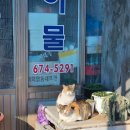 말리호프커피 | 2023년 화이트크리스마스 2박3일 태안여행 먹고먹고또먹고(23.12.23 - 23.12.25)