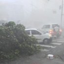 서울봄안경원 이미지