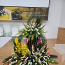 언덕배기꽃식물원 이미지