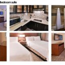 Talk Talk Talk 영어캠프 이미지