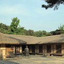 덩쿨여관 이미지