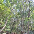 용인문화유산 문수산 마애보살상 용인마주하기 답사 후기