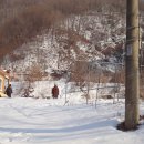 고바우펜션 Daum카페