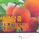 김천중앙초교병설유치원 | 칼라, 색깔) 심리 컨설팅 &amp; 타로 카드 배우기 체험 - 김천 중앙 초등학교 병설 유치원 컬러 컨설팅 후기