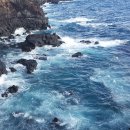 영천동 법호촌 이미지