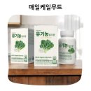 [실천학교] 유기농의 모든것 | 매일 아침 가벼워지는 루틴 유기농 컬리케일 닥터이지 컬리뮨 후기