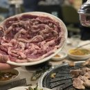 낙동생오리 이미지