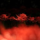 순례농장 이미지