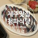 청파제2경로당 | 제주 동쪽 고등어회 맛집 추천 구좌맛집 청파식당횟집 포장 내돈내산 솔직후기