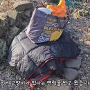 고양이 여럿 키우는 유튜버에게 구독자가 주고 간 선물 이미지