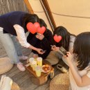 고양이의 날을 맞아 써보는 봄날의 일상🌷🌿