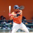 김태연 카카오 검색결과