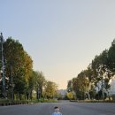 용산-379 이미지