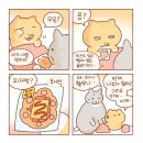 틴틴피자 이미지