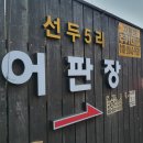 선두5리항 이미지