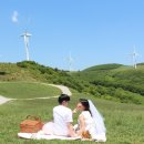 정하목장 이미지