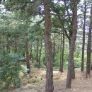 휴가펜션민박 이미지