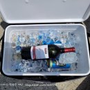 태안별빛오토캠핑장 이미지